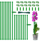 HAINANSTRY 18-inch plant stake supports tomatoes and flowers for a tidy garden