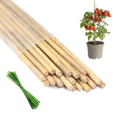 HAINANSTRY 16 inch bamboo plant stakes for sturdy indoor plant support.