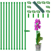 HAINANSTRY plant-stakes-18inch-pack offers sturdy indoor plant support.