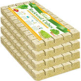 Halatool 1inch rockwool cubes support seed germination and robust root growth.