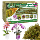 Halatool Green Forest Moss brick before soak showing compact form for controlled hydration