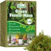 Halatool Green Moss bag closeup showing natural forest texture for soil cover.