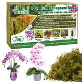 Halatool sphagnum moss brick dry for easy soaking, ideal for orchid repotting.