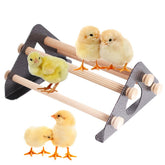 halinfer baby chick perch with a durable metal stand and wooden roosts for easy training