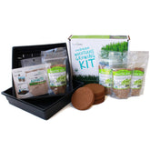 Handy Pantry organic wheatgrass starter kit packaging ready for home growing.