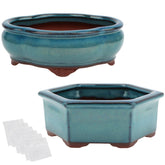 Happy Bonsai glazed planters set of 2 adds elegant indoor decor