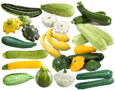 Harley Seeds This is a Mix pack image showing 12 zucchini and squash varieties for diverse harvest.