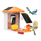 HARYMOR Bird Feeder Camera with AI identification for learning species.