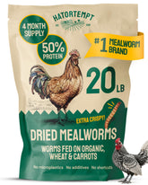 Hatortempt 20lb dried mealworms in bulk bag for chickens, convenient storage.