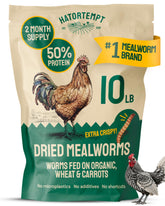 Hatortempt bulk dried mealworms bag front showing high-protein poultry feed.