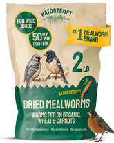 Hatortempt dried mealworms 2lb bag on shelf, protein-rich chicken feed supplement.
