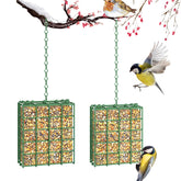 HAVENATURE 2-pack bird feeder outdoors on tree attracts a variety of birds