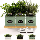 HB Design Co herb planter indoor with three pots for fresh herbs on your windowsill