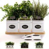 HB Design Co herb planter indoor: three iron pots with drainage for fresh herbs.