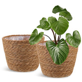 Healifty woven plant basket with liner showcases rustic texture for indoor plants.