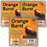Heath Orange Burst suet cake pack ready for outdoor feeding attracts woodpeckers and songbirds.