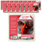 Heath Outdoor Berry No Mess Suet Cakes 16-pack ready for year-round feeding.