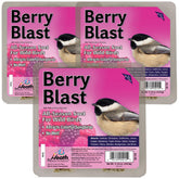 Heath Outdoor Berry Blast Suet Cakes 3-pack for year-round bird feeding with no-melt formula.