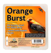 Heath Outdoor Products Orange Burst suet cake pack-10 ready for year-round bird feeding.
