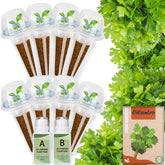 Herblink cilantro seed pods kit unboxing, complete starter for indoor herb gardening.