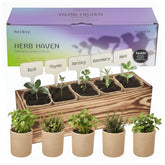 Herbsy 5 herb garden kit in a wooden box for easy windowsill growing.
