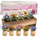 Herbsy 5 Indoor Flower Kit packaging, ideal gift presentation.