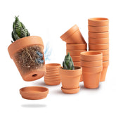 HERDUK 3-inch terracotta pot close-up shows drainage for healthy root development