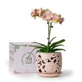 HERDUK ceramic orchid pot with breathable design supports air circulation