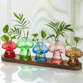 Hewory glass mushroom propagation vase on a wooden tray for root observation