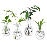 Hewory Smiley Face Glass Planter closeup showing clear glass and cheerful design for plant cuttings