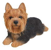 Hi-Line Yorkshire Terrier resin statue lying down for indoor and outdoor display