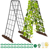 HIHADUUM 2-pack 50 tall A-frame trellis assembly shows sturdy setup for vines