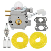 Hipa 308054114 carburetor close-up showing brass body for durability