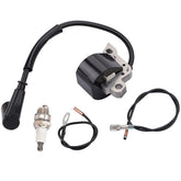 Hipa MS290-029 ignition coil closeup showing precise replacement fit.