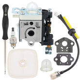 Hipa PB250 carburetor front view for Echo PB250LN compatibility