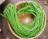 HipGirl yardlong bean pods on vine ready to harvest for fresh meals