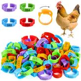 Hipykat chicken leg bands orange close-up for quick ID and color-coded flock management