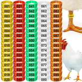 Hispqser yellow numbered chicken leg band for quick flock identification