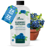 HiThrive Blueberry Fertilizer 32oz bottle supports robust growth for blueberries.