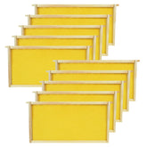 HiveSweet deep brood frame with wax foundation closeup for strong hive development