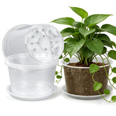 HKKZYT 12-inch clear nursery pot with drainage for healthy roots and precise moisture control.