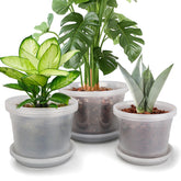 HKKZYT clear nursery pot with drainage holes for healthy root growth.