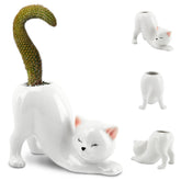 HKZTUY tailless cat ceramic planter on a desk ideal for small succulents.