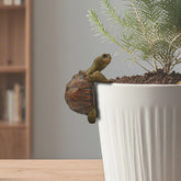 HoiiYoza turtle statue perched on a plant pot for natural charm.