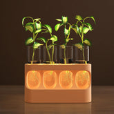 HOKKIEAM propagation station with LED lights supports healthy growth in low light