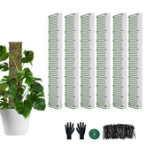 HOLANHING D Shape Moss Pole 24-inch assembly supports climbing plants and guides upward growth.