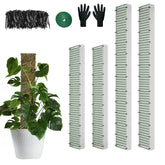 HOLANHING D Shape Moss Pole 40-inch overall view supports climbing plants