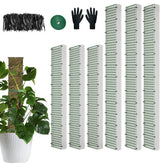HOLANHING D Shape moss pole 40-inch for climbing plants.