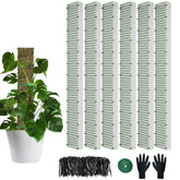 HOLANHING D-shape moss pole for 40-inch vertical growth and easy aerial roots