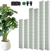 HOLANHING D Shape Moss Pole design showcases a semi cylindrical surface for aerial root attachment